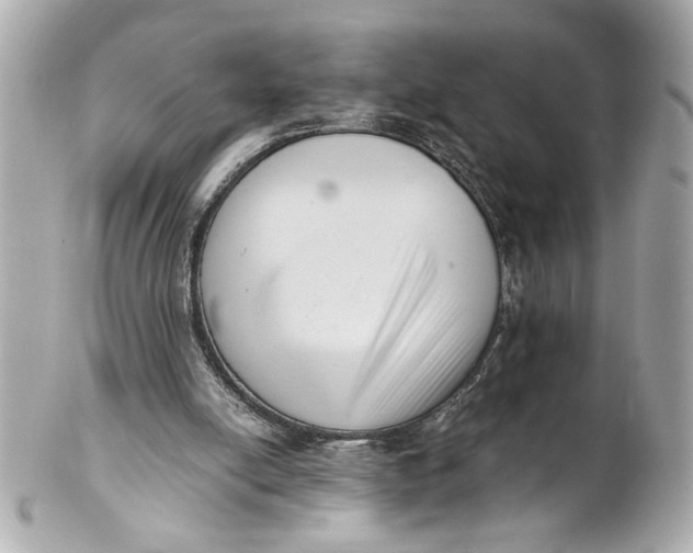 X0000101660054200807311444