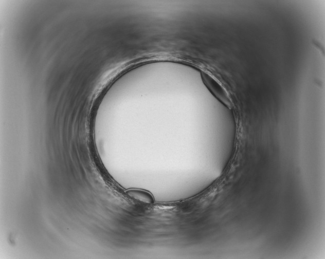 X0000101660055200807311444