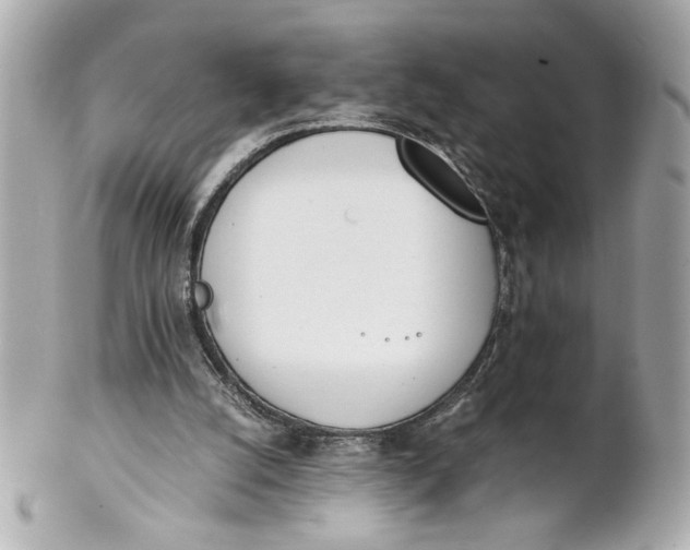 X0000101660056200807311444