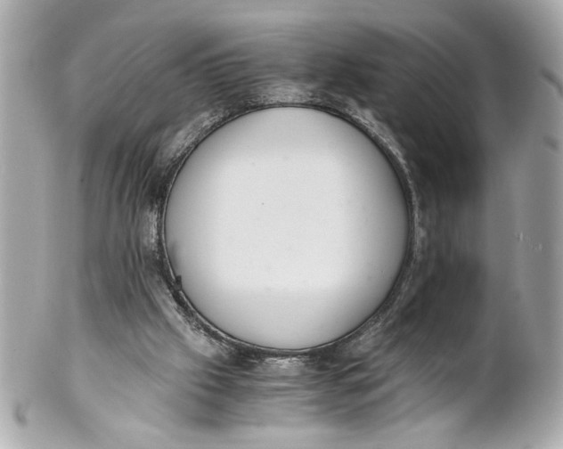 X0000101660057200807311444