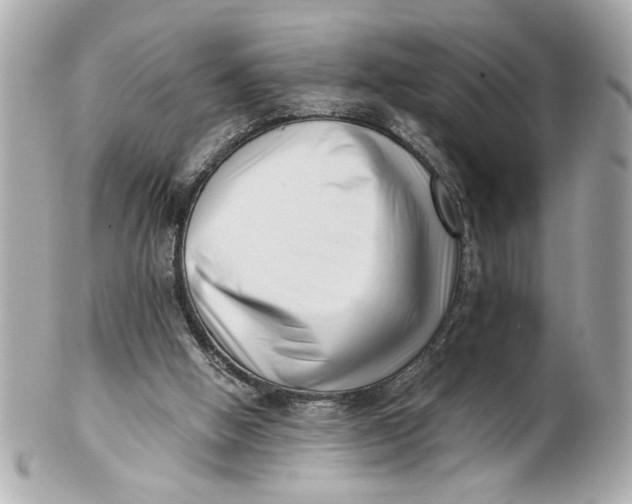 X0000101660058200807311444