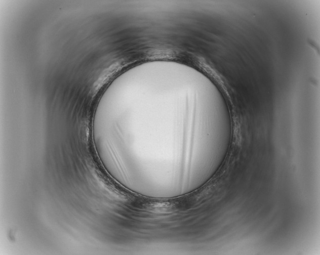 X0000101660059200807311444