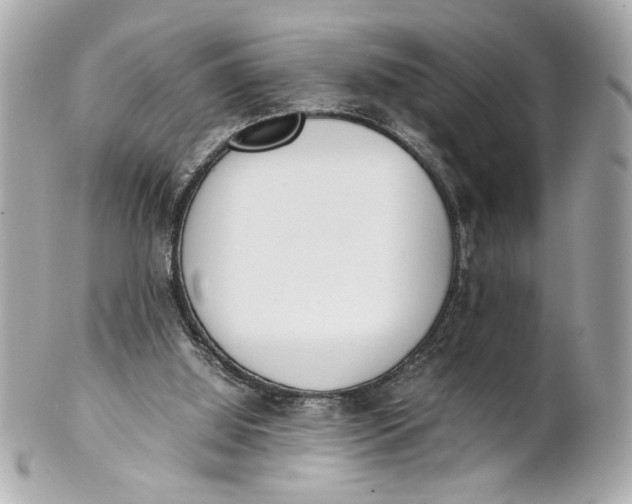 X0000101660060200807311444