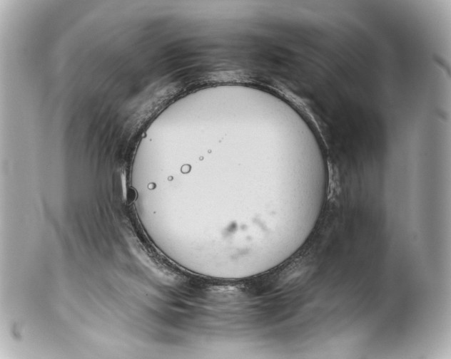 X0000101660061200807311444