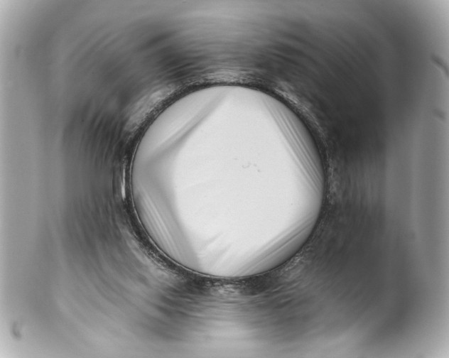 X0000101660062200807311444