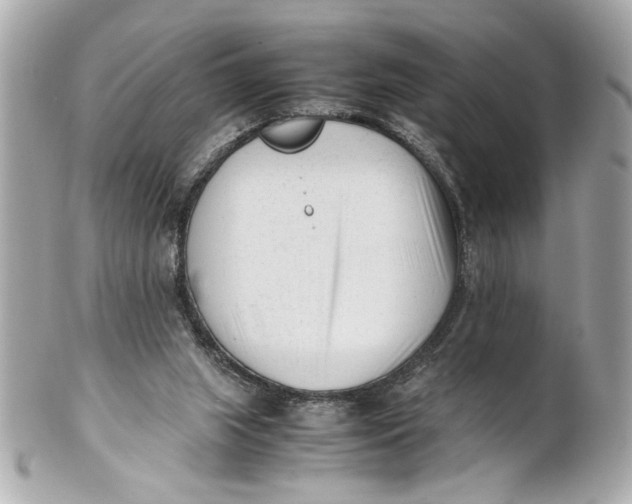 X0000101660063200807311444