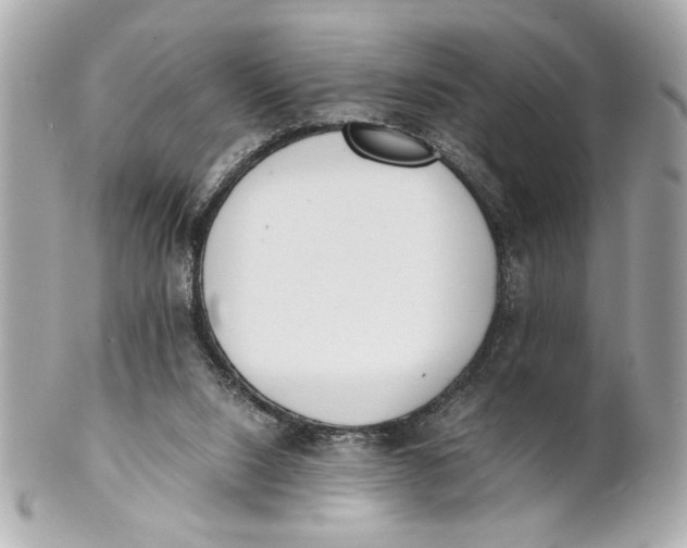 X0000101660064200807311444