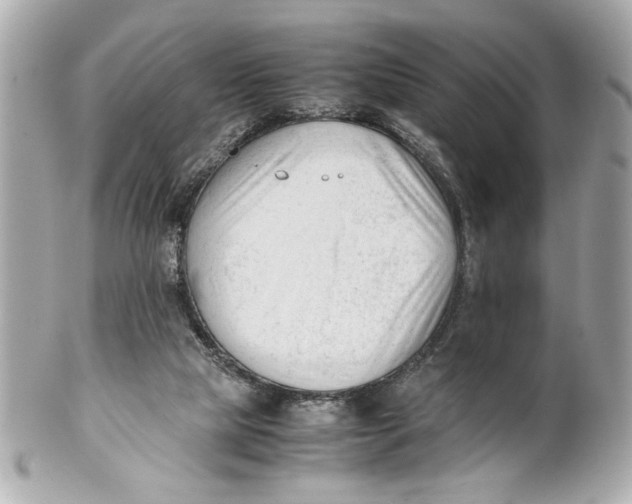 X0000101660065200807311444