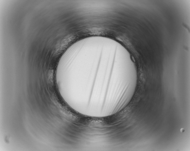 X0000101660066200807311444