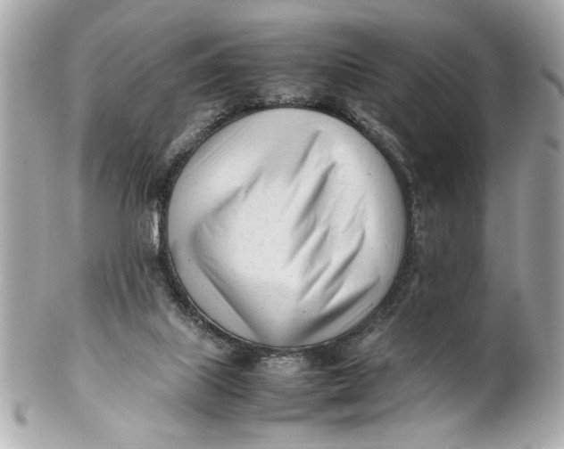 X0000101660067200807311444