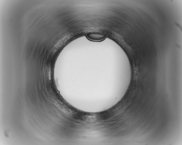 X0000101660068200807311444