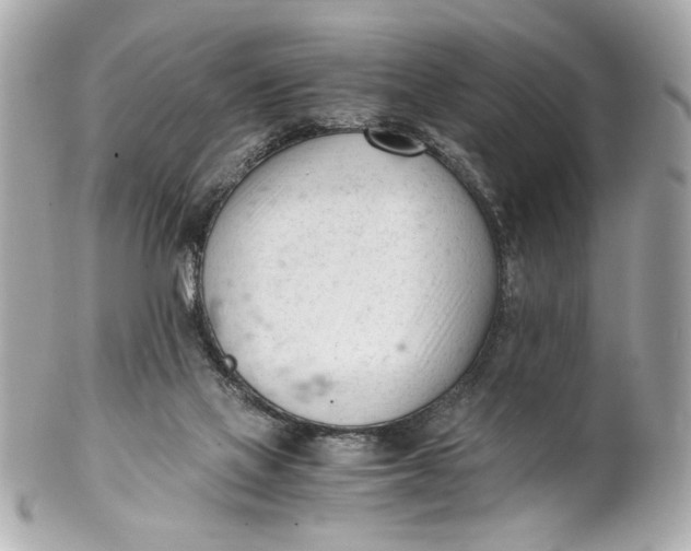 X0000101660069200807311444