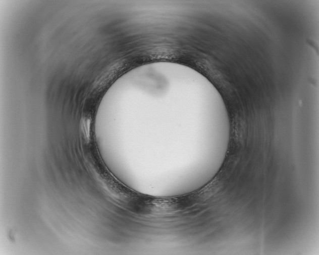 X0000101660070200807311444