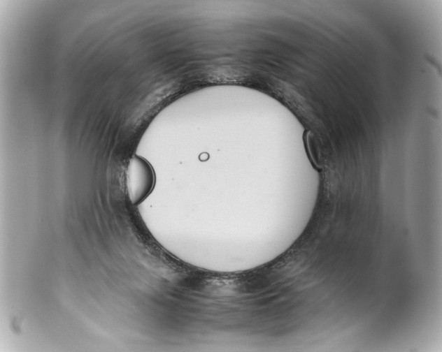 X0000101660071200807311444