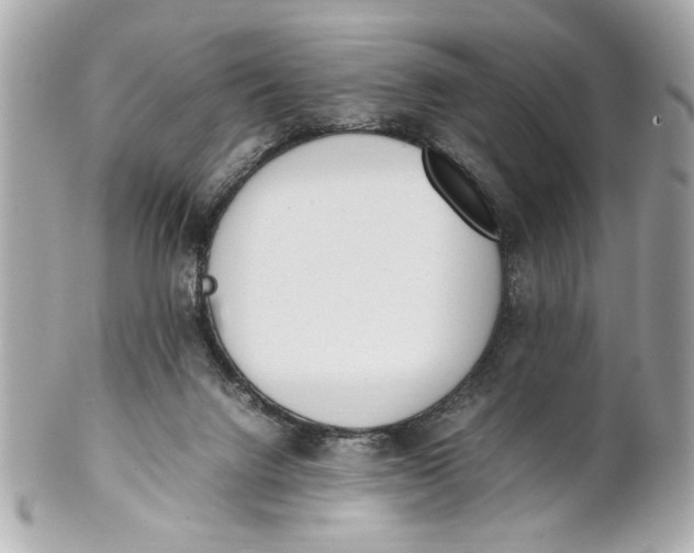 X0000101660072200807311444