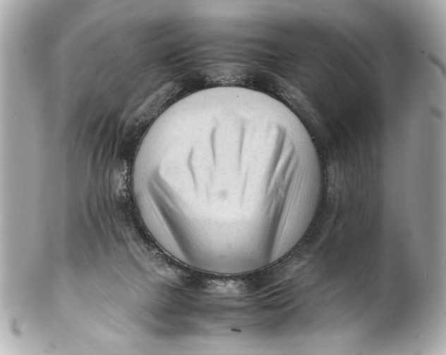 X0000101660073200807311444