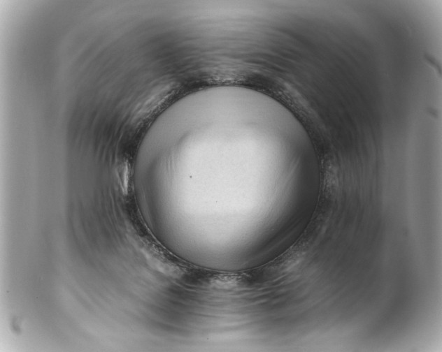 X0000101660076200807311444