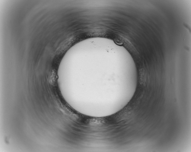 X0000101660077200807311444