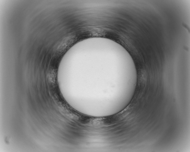 X0000101660078200807311444