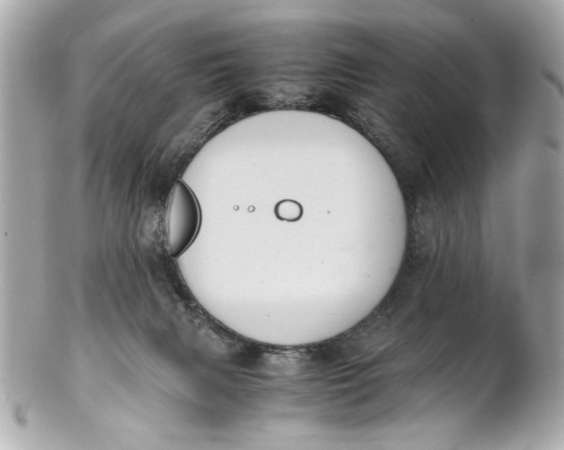 X0000101660079200807311444