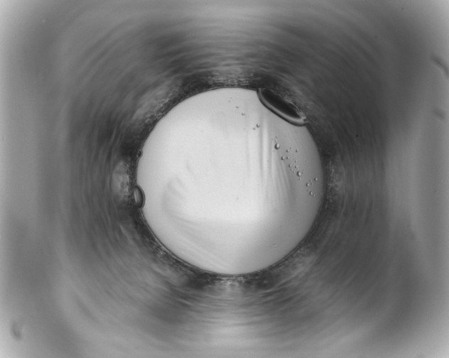 X0000101660080200807311444