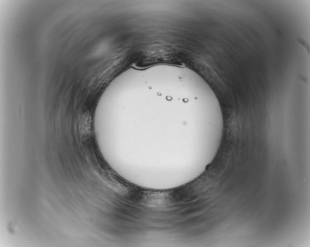 X0000101660081200807311444