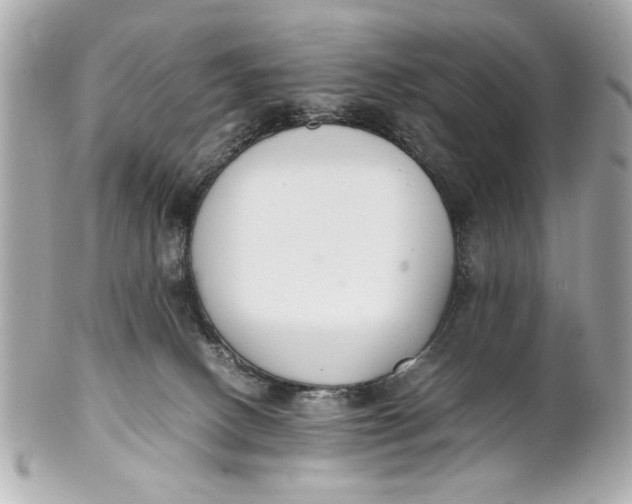 X0000101660082200807311444