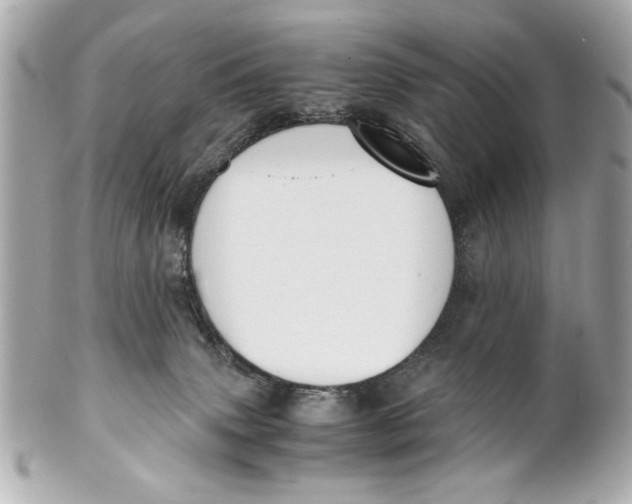 X0000101660083200807311444