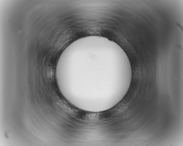 X0000101660084200807311444