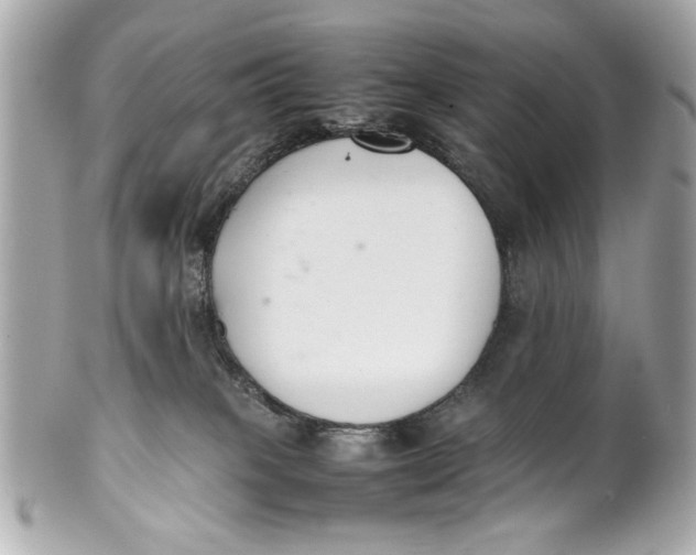 X0000101660085200807311444