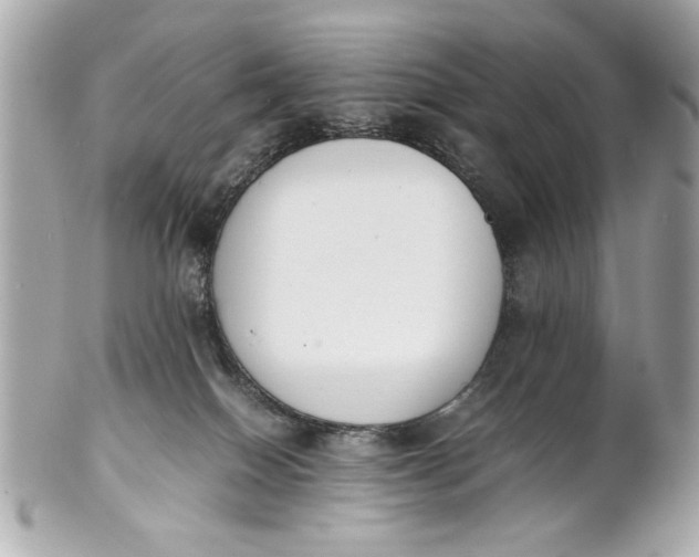 X0000101660086200807311444