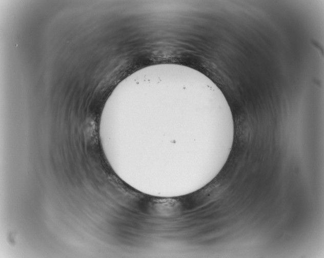 X0000101660087200807311444