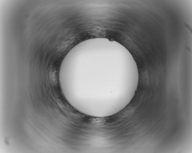 X0000101660088200807311444