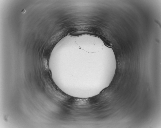 X0000101660089200807311444