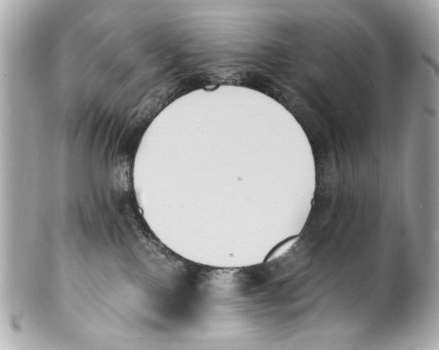 X0000101660090200807311444