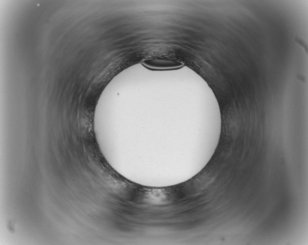 X0000101660091200807311445