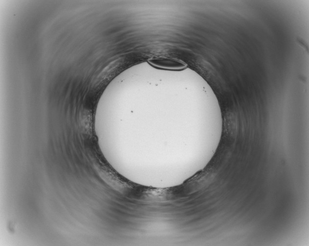 X0000101660092200807311445