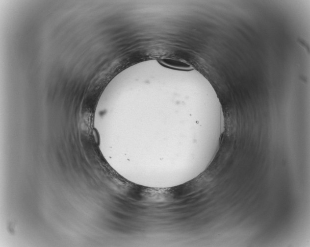 X0000101660093200807311445