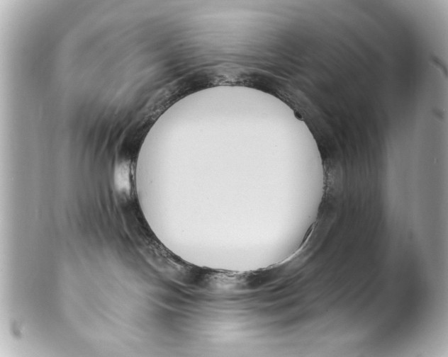 X0000101660094200807311445