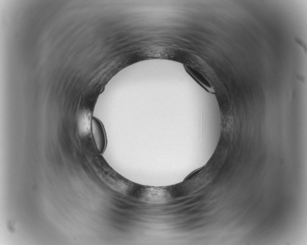 X0000101660095200807311445