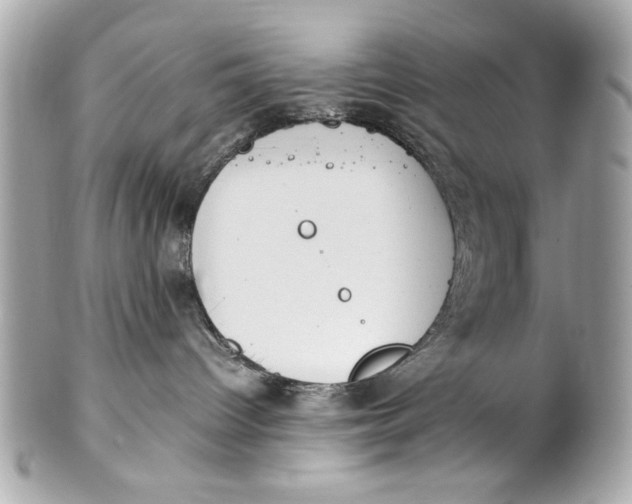 X0000101660096200807311445