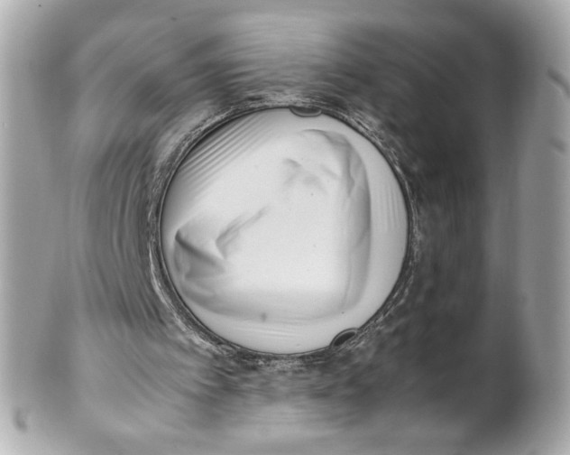 X0000101660097200807311444