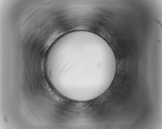 X0000101660098200807311444