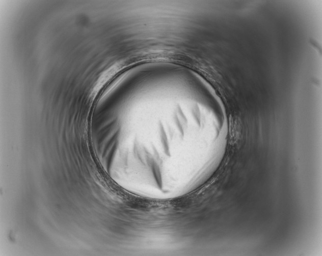 X0000101660099200807311444