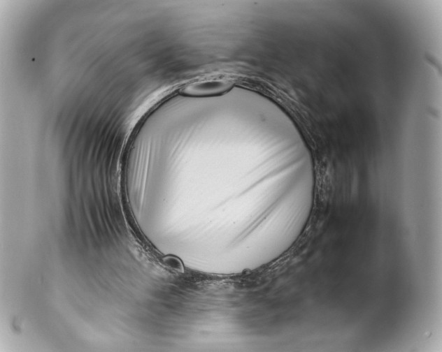 X0000101660100200807311444