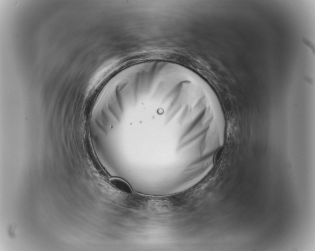 X0000101660101200807311444