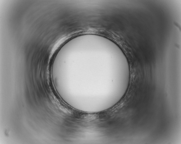 X0000101660102200807311444