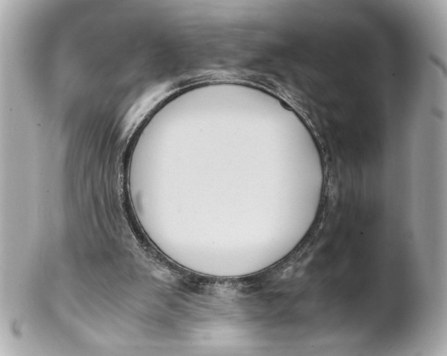 X0000101660103200807311444