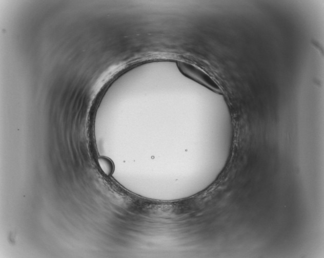 X0000101660104200807311444