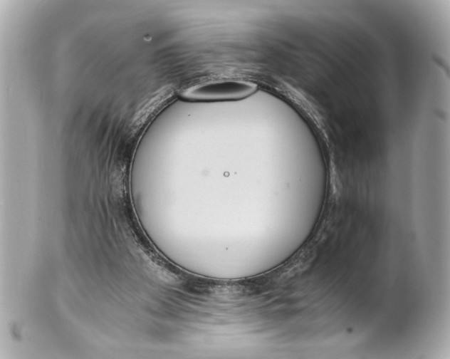 X0000101660105200807311444